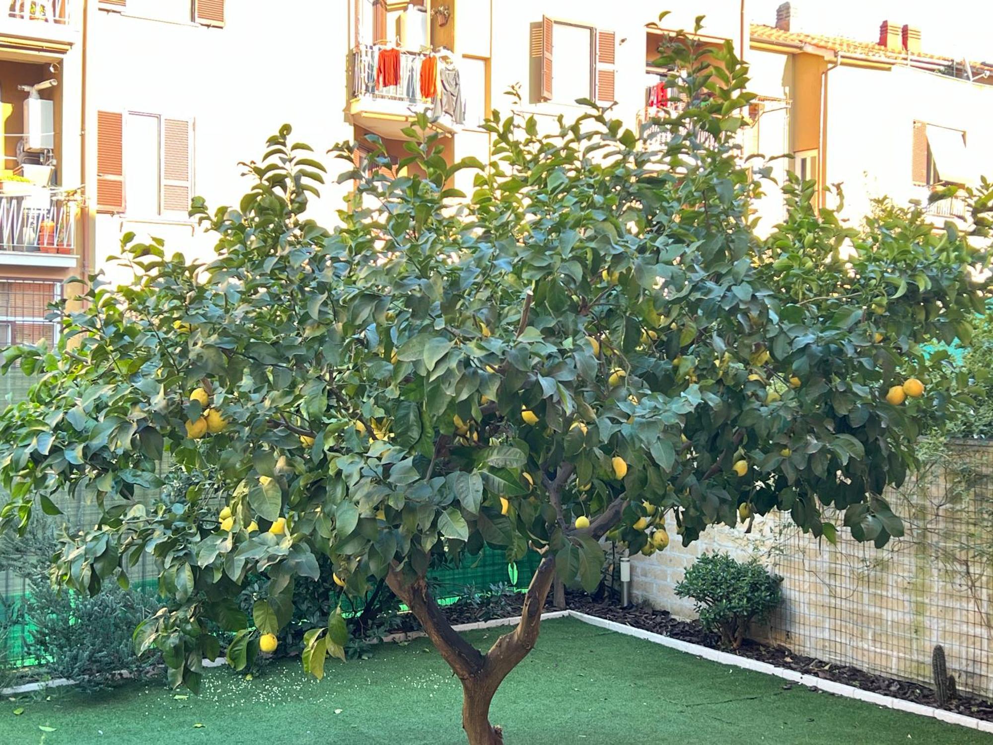 Casa Paestum. Your Wonderful Garden In Roma Exterior foto