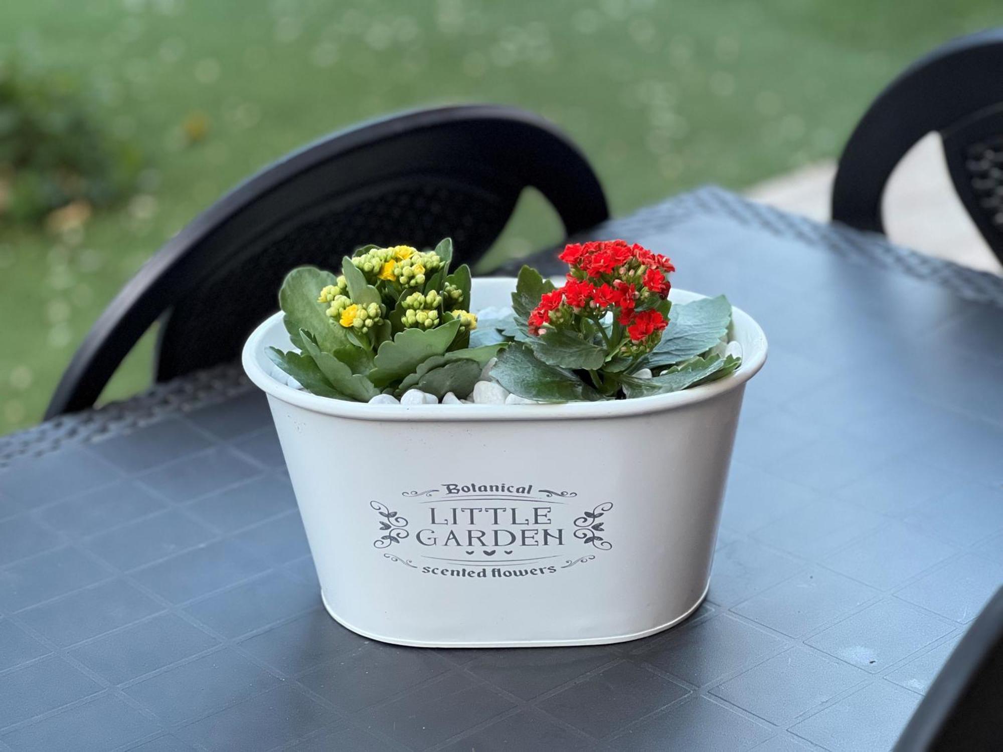 Casa Paestum. Your Wonderful Garden In Roma Exterior foto